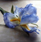 تصویر بودکور وینر سیلیکونی گل زنبق 2100335 