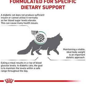 تصویر غذای خشک گربه رویال کنین دیابتیک 1.5 کیلویی (گربه های مبتلا دیابت) Royal Canin Diabetic Dry Cat Food 1/5kg