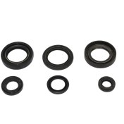 تصویر کاسه نمد کامل یاماها تریل 125 کاسه نمد کامل انجین یاماها تریل 125