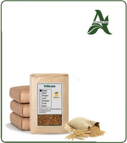 تصویر گندم خشک فله 