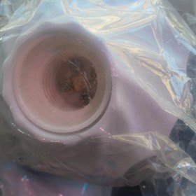 تصویر سرپیچ دیواری سقفی 