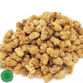 تصویر توت خشک یزدی ۱ کیلوگرم 