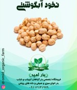 تصویر بذر نخود آبگوشتی ( نخود کرمانشاهی ) 