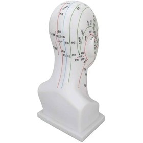 تصویر مولاژ طب سوزنی سر 