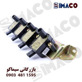 تصویر کوئل شاهین کروز 