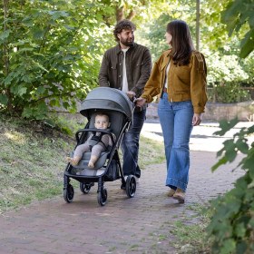 تصویر کالسکه مسافرتی جویی مدل Parcel 