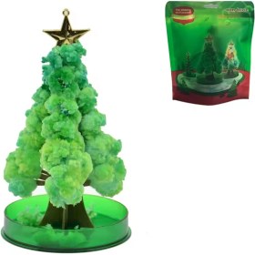 تصویر درخت جادویی 