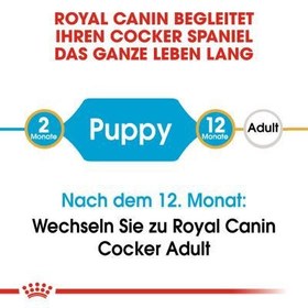 تصویر غذای خشک توله سگ کوکر اسپانیل رویال کنین 3 کیلویی Royal Canin Cocker Puppy 3kg