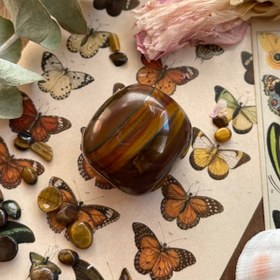 تصویر چشم ببر 08 