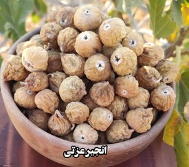 تصویر انجیر گوشتی سایز کوچک 