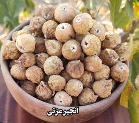 تصویر انجیر گوشتی سایز کوچک 