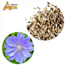 تصویر دان کاسنی 