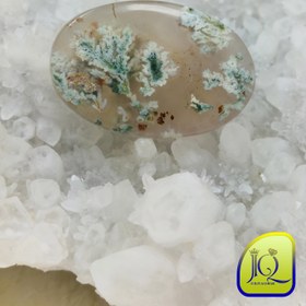 تصویر نگین شجر بهاری 