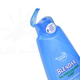 تصویر شامپو ارگانیک ضد ریزش و تقویت کننده حاوی عصاره گزنه بلنداکس 500 میل BLENDAX Shampoo Nettle Extract 500ml