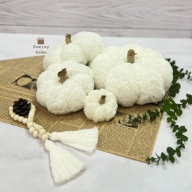 تصویر کدو تدی دکوری 