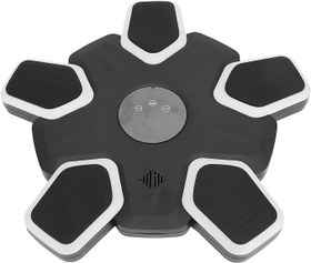 تصویر کیسه بوکس موزیکال مدل ZL-12 