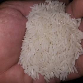 تصویر برنج طارم دمسیاه 