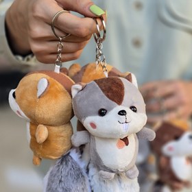 تصویر آویز سرکلیدی سنجاب 