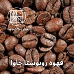 تصویر قهوه روبوستا جاوا اندونزی 