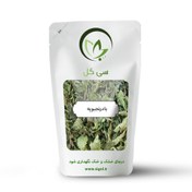 تصویر بادرنجبویه 