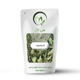 تصویر بادرنجبویه 