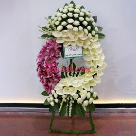 تصویر گل نمایشگاهی دولت 