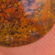 تصویر شجر پاییزه سایز مدالی تراش اشک Shajar paize