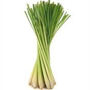 تصویر بذر علف لیمو 5 عددی 