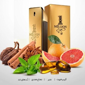 تصویر ادو پرفیوم مردانه فراگرنس پرشیا 116 مدل وان میلیون حجم 100 میلی لیتر Fragrance persian 116 1 MILLION Eau De Perfume For Men 100ml