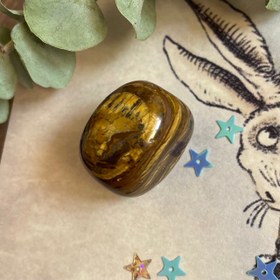 تصویر چشم ببر ۰۷ 