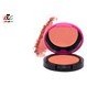 تصویر رژ گونه کالیستا سری Color and Art شماره B04 Callista Color and Art Blush B04