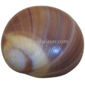 تصویر صدف کد 2344 