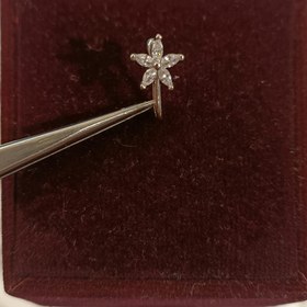 تصویر پیریسینگ بینی 