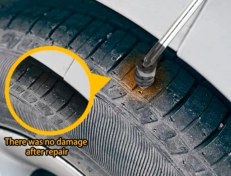 تصویر پیچ پنچر گیری فوری بسته 20 عددی 