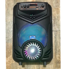 تصویر اسپیکر غول p 44 NDR Big speaker p44 ndr