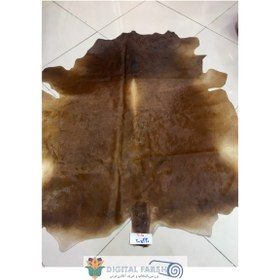 تصویر پوست طبیعی گاو تزنیِِینی 34.25 پا ا cow skin cow skin