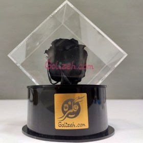 تصویر گل رز جاودان مشکی 