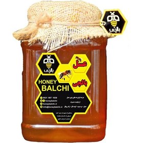 خرید و قیمت عسل طبیعی+گرده گل درجه 1 ایرانی بالچی (۱+۱ کیلویی)