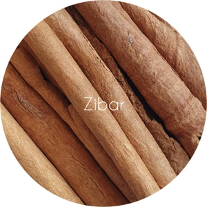 تصویر فروشگاه زیبار