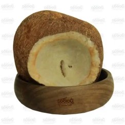 تصویر نارگیل کاسه 