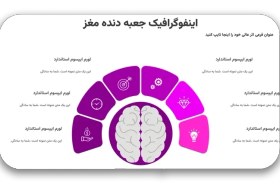 تصویر قالب پاورپوینت اینفوگرافیک مغز | طراحی حرفه‌ای برای ارائه‌های مدیریتی و خلاقانه 