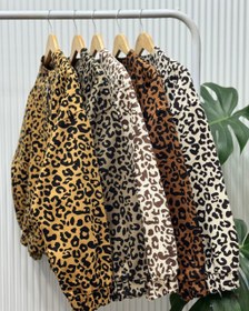 تصویر بامبر پلنگی کد ۴ 