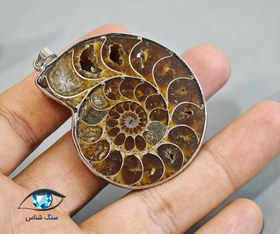 تصویر فسیل آمونیت 33 گرم 
