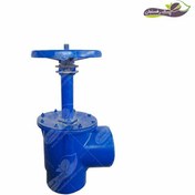 تصویر شیر 90 درجه ABS زبانه لاستیکی شافت بالا Right Angle ABS Rubber Wedge Globe Valve (Extended Stem)