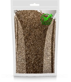 تصویر تخم کتان 