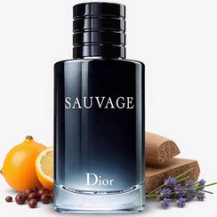 تصویر عطر مردانه شرکتی مدل دیور سوج - (های کپی درجه سه) - 100 میلی لیتر Dior Sauvage