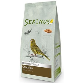 تصویر خوراک دوران تولید مثل قناری 