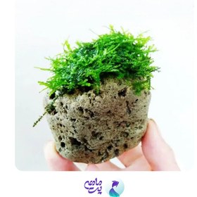 تصویر سنگ تزئینی معلق آکواریومی سایز متوسط 