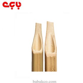 تصویر قلم خوشنویسی خیزران کوچک 