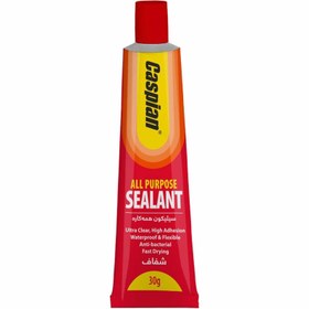 تصویر چسب سیلیکونی همه کاره Caspian 30ml شفاف Caspian All Purpose Sealant 85gr